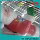 KK INFLATABLE pvc outdoor inflatables supplier for garden 1