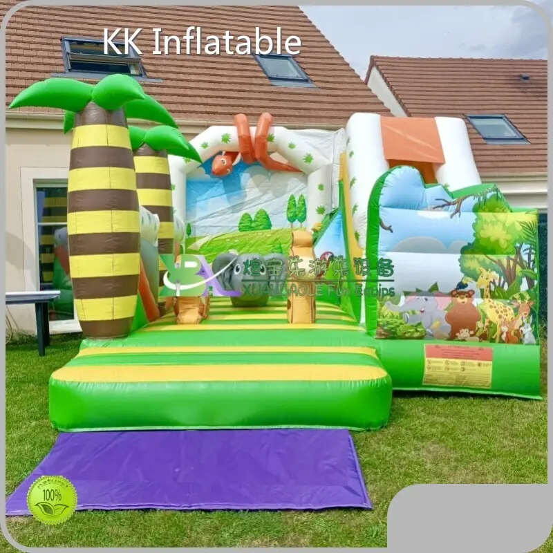 Hot Selling Combo Inflatables for Sale for Sale 1
