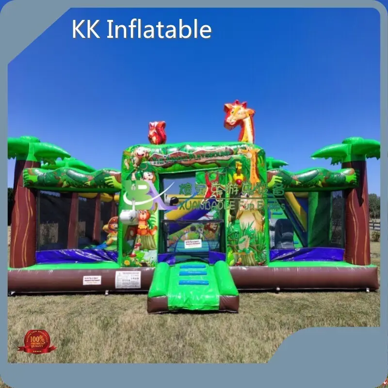 Professional Inflatable Combos for Sale for Home 1