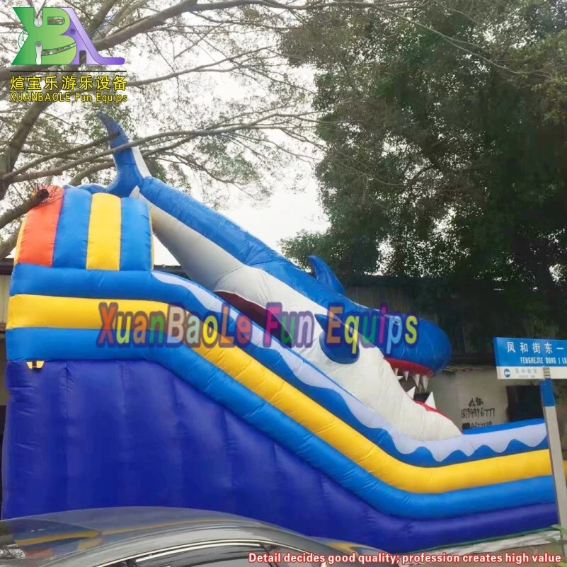 Colour Inflatable Pool Water Slide, Giant Shark Inflatable Slide 1