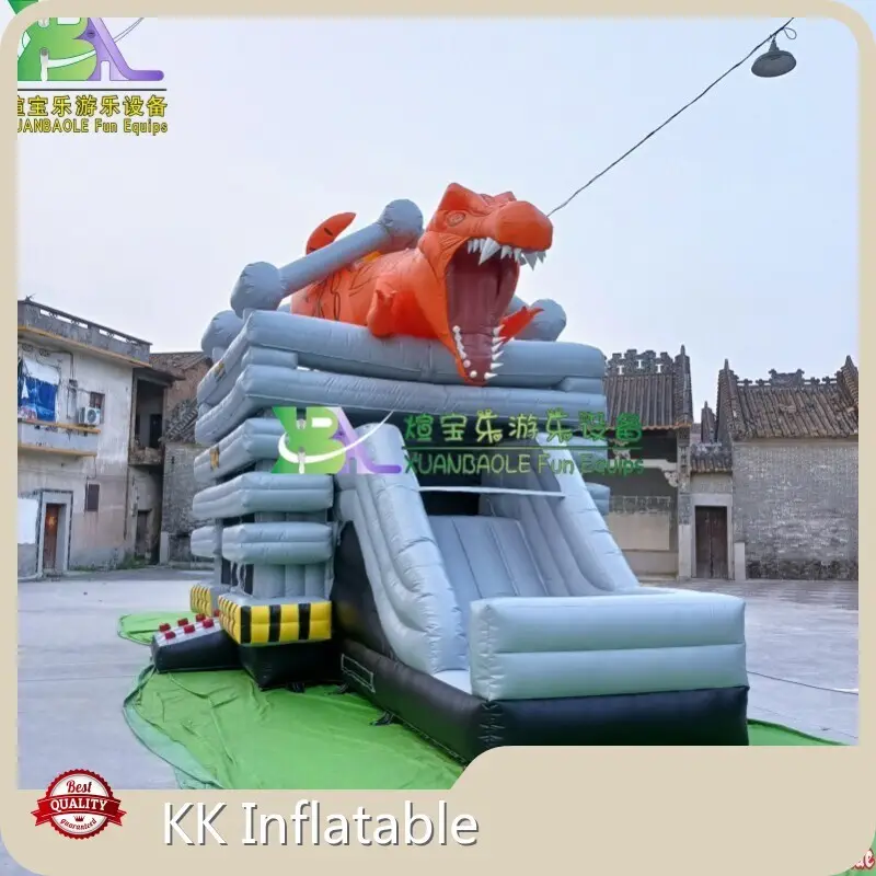 Factory Price Wet and Dry Combo Inflatable Directly Sale for Home 1