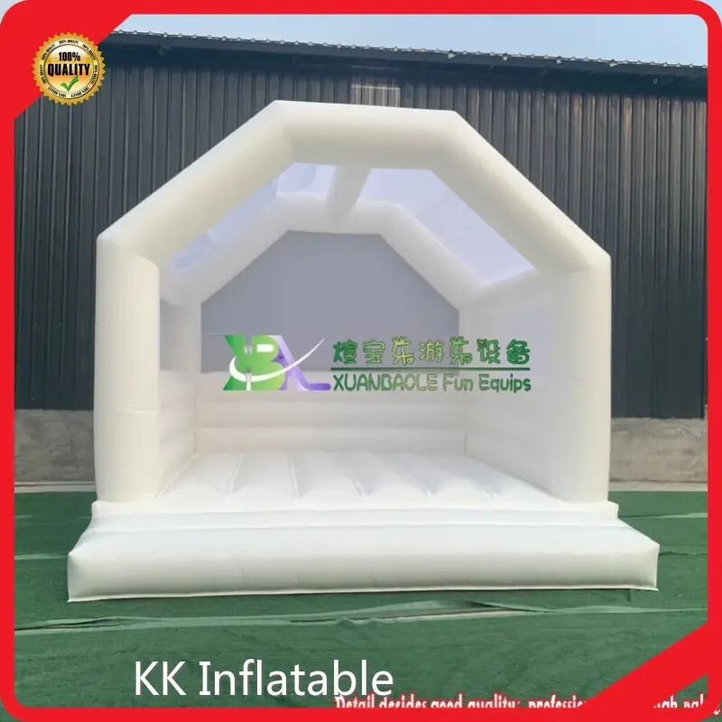 For Outdoor Water Inflatable Bouncer Artwork Theme Spray Printing by KK Inflatable 1