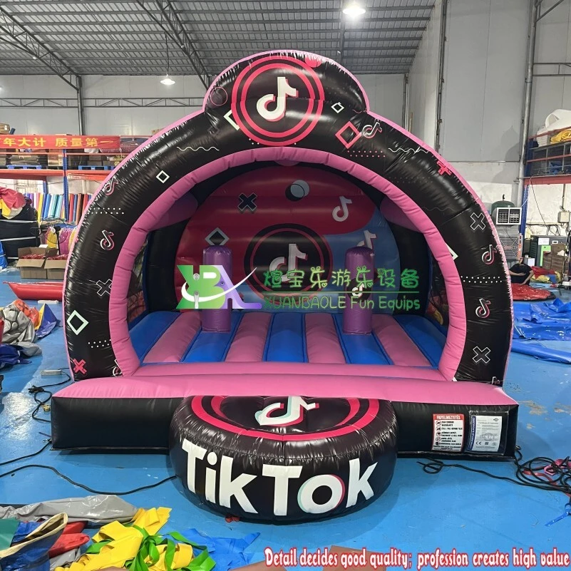 TikTok Inflatable Bounce House Themed Inflatable Bounce Castle 1