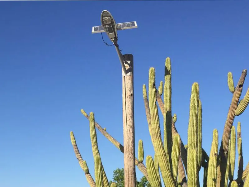 30w solar street light factory for lamp 4