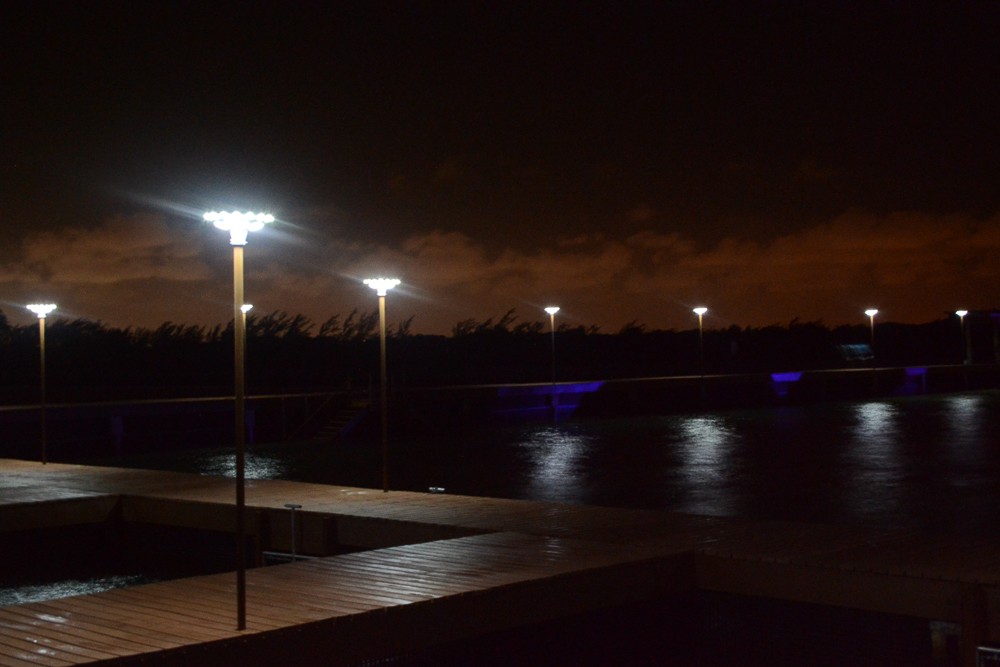 ALLTOP solar yard lights manufacturers for decoration 6