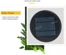 ALLTOP bright solar lights for yard supply for decoration 6