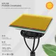 ALLTOP best outdoor solar garden lights company2 7