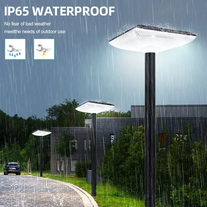 Good Selling led solar garden lights factory1 6