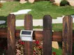 wall Custom aluminum solar wall lantern camp ALLTOP 7