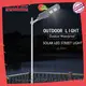 flood solar pole lights sensor for road ALLTOP 1