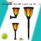 ALLTOP customized solar garden light for business for decoration 1