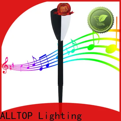 led solar pathway lights 1