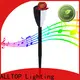 led solar pathway lights 1