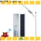 ALLTOP outdoor solar powered lights functional supplier 1