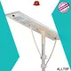 ALLTOP outdoor led solar light best quality supplier 1