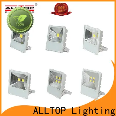 best quality 30 watt led flood light bulb series for workshop 1