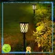 front yard landscape lighting2 1