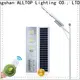decorative street lighting manufacturers best quality wholesale 1