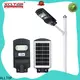 ALLTOP high-quality customized led light functional supplier 1