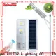 ALLTOP unique solar lights outdoor best quality manufacturer 1