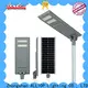 solar outdoor led lighting functional supplier 1
