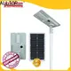 led solar outdoor lighting functional supplier1 1