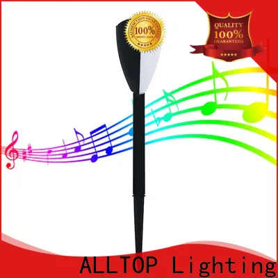 Best Price best outdoor solar garden lights factory 1