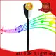 Best Price best outdoor solar garden lights factory 1