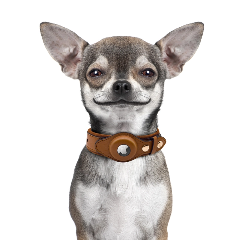 Collar para gatos AirTag para Apple AirTag | Collar de gato de cuero genuino PSP-NP05-XS 1