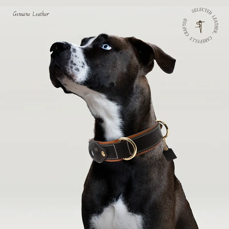 Best Airtag Dog Collar 6~15 Days by Purespet 6