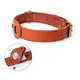 Apple Dog Tracker Collar Black/Brown by Purespet 12