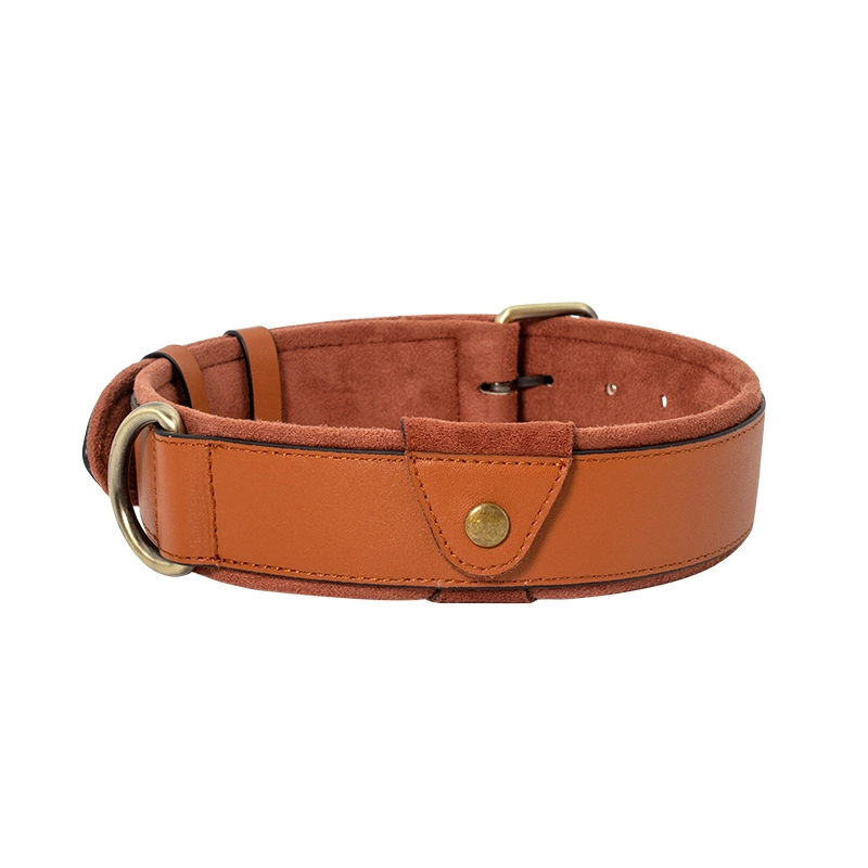 Apple AirTag Hundehalsband | Hundehalsband aus echtem Leder mit Apple AirTag-Tasche PSP-305C 1