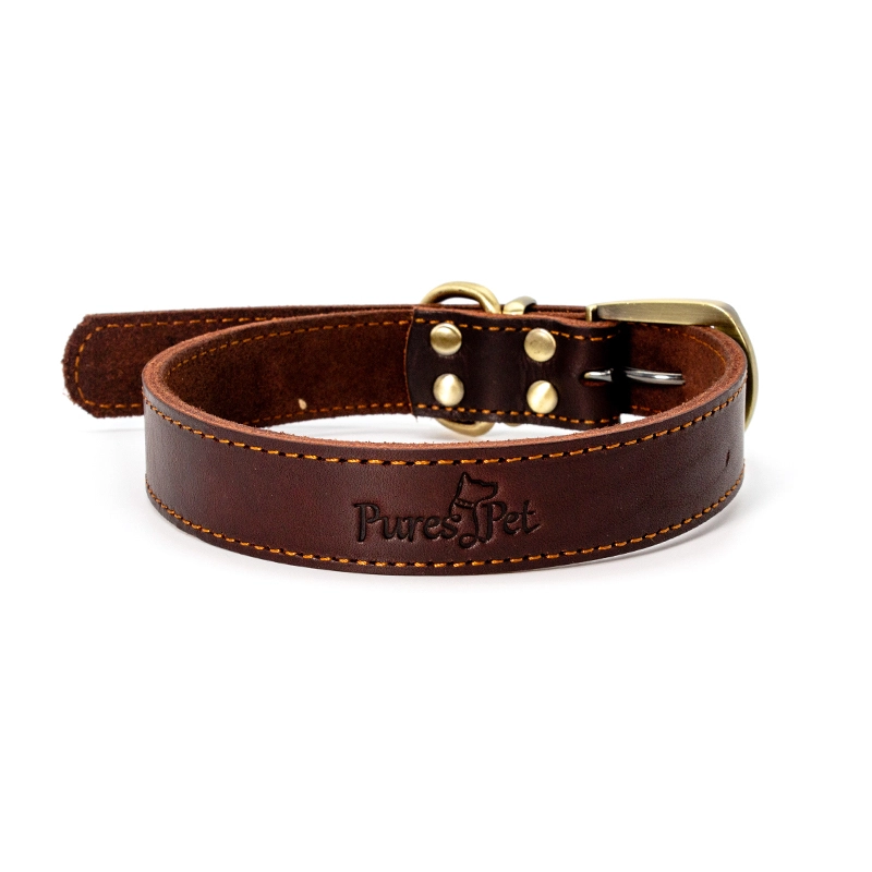 Collar para perro de cuero de plena flor | Collar de perro de cuero genuino | Collar de Cuero para Perro PSP-330 1