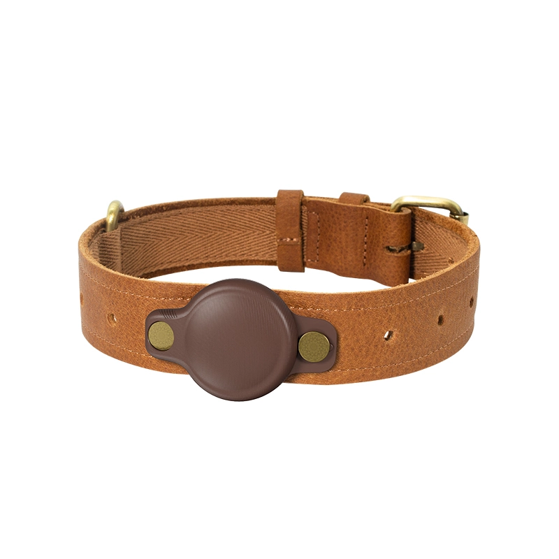 AirTag-Hundehalsband mit wasserdichter AirTag-Hülle | Hundehalsband aus weichem Leder für Apple AirTag-Halter PSP-385A 1