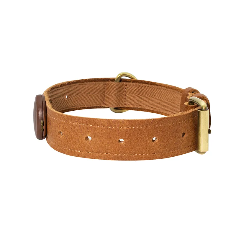 Apple Airtag Dog Collar PSP-385A - - Purespet 2