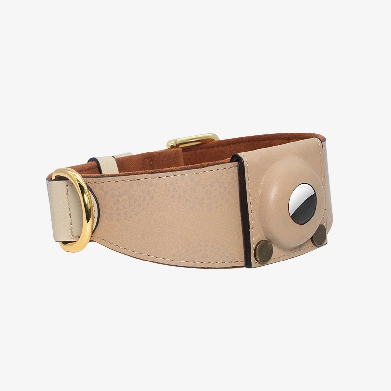 Whippet Leather AirTag Dog Collar | Patterned Leather Wide Dog Collar with AirTag Holder PSP-396 1