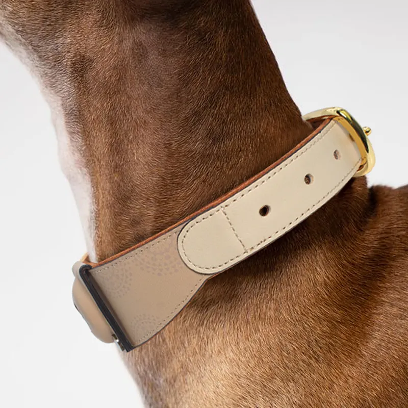 Pet Accessories Manufacturer Online Payment Or T/T (30% Deposit and the Balance Paid Before Shipment) - - Purespet 5