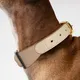 Pet Accessories Manufacturer Online Payment Or T/T (30% Deposit and the Balance Paid Before Shipment) - - Purespet 5
