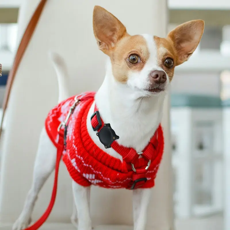 Air Tag Holder for Collar by Purespet 12