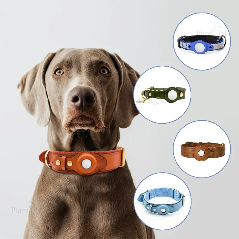 Apple Air Tag Holder for Dog Collar Online Payment Or T/T (30% Deposit and the Balance Paid Before Shipment) Wholesale - Purespet 7
