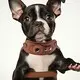 Airtag Harness Full Grain Cow Leather Products Wholesale - Purespet 4