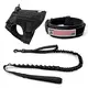 Purespet Apple Air Tag Dog Harness Price List 2