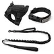 Purespet Apple Air Tag Dog Harness Price List 3