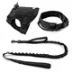 Purespet Apple Air Tag Dog Harness Price List 4