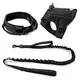 Purespet Apple Air Tag Dog Harness Price List 5