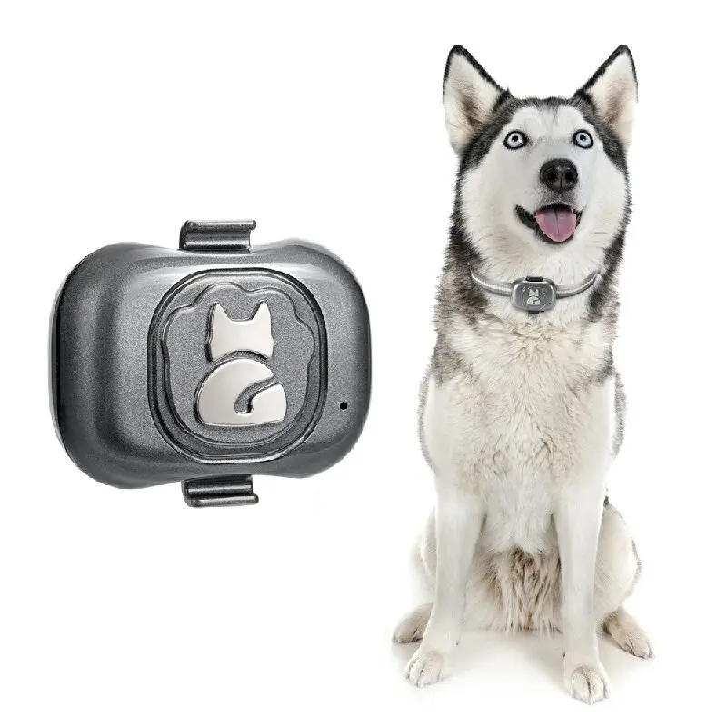 Pet Tracker Collar by Purespet 2