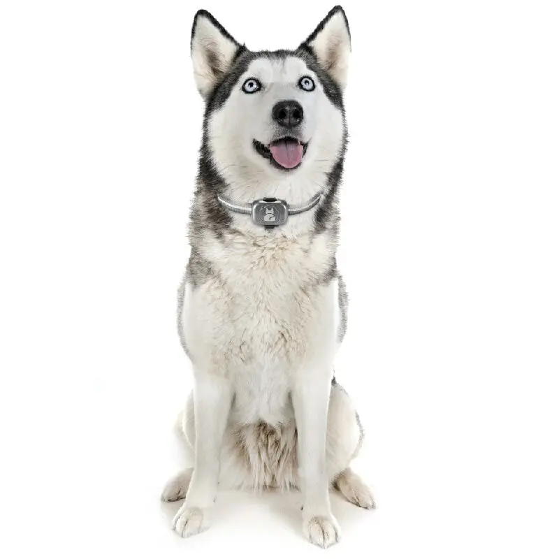 Pet Tracker Collar by Purespet 4