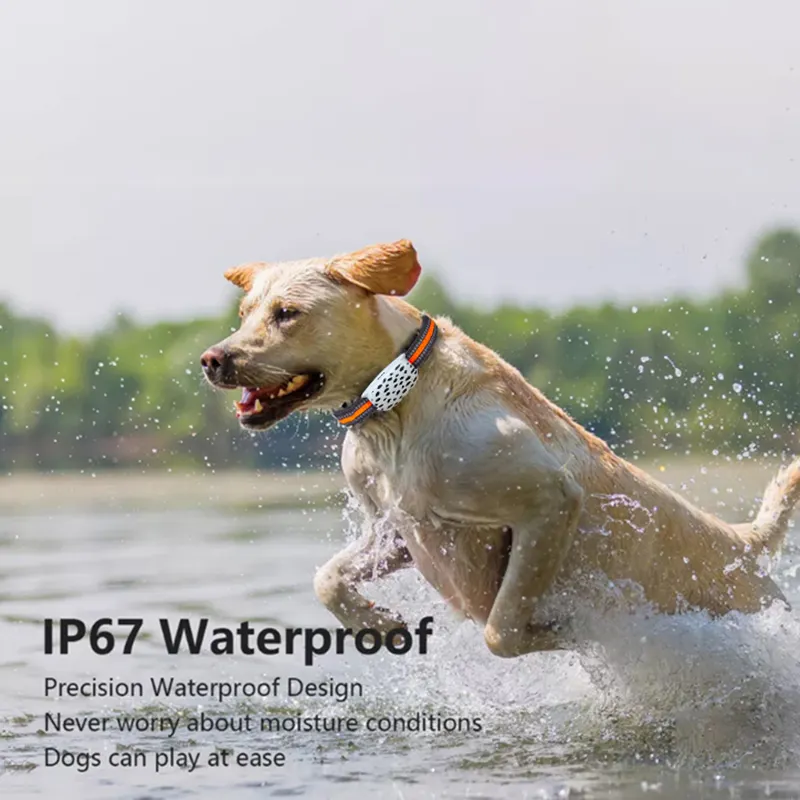 Gps Trackable Dog Collar Red/Blue/Green Wholesale - Purespet 5