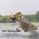 Gps Trackable Dog Collar Red/Blue/Green Wholesale - Purespet 5