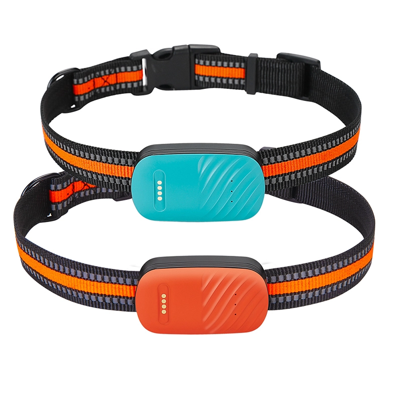 Collier de suivi GPS pour chien, 4G, suivi de position en temps réel | Collier de suivi GPS pour animaux de compagnie PSP-G51 1